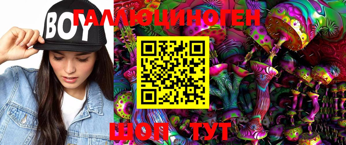 Галлюциногенные грибы Psilocybe Аксай